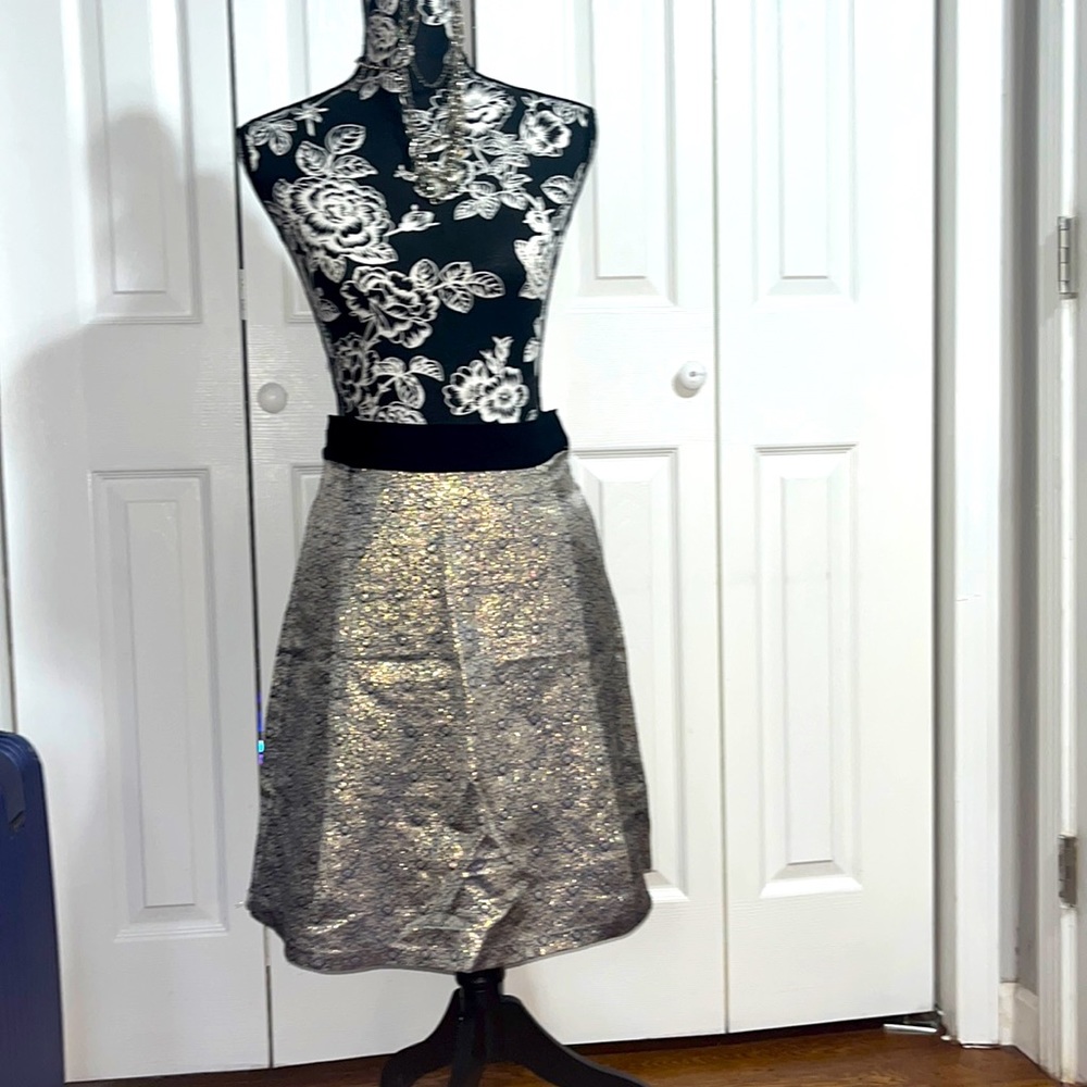 Narciso Rodriguez Size 2 Skirt